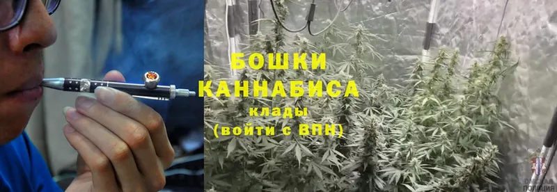 Бошки Шишки Bruce Banner  Короча 